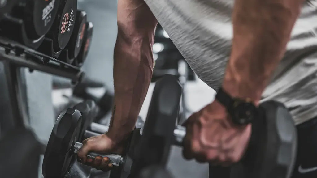 Adjustable and fixed dumbbells arranged for a compact home gym