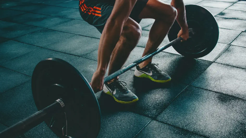 Adjustable dumbbells beside a compact rack of fixed dumbbells in a small home workout corner