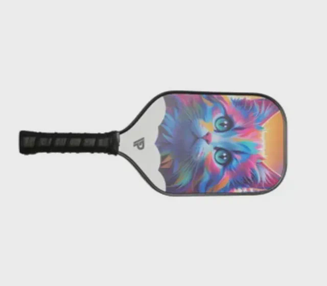 Standard Carbon Fiber Paddle Sport Pickleball Paddle Sr-LG01 shown in its Made-in-China supplier listing